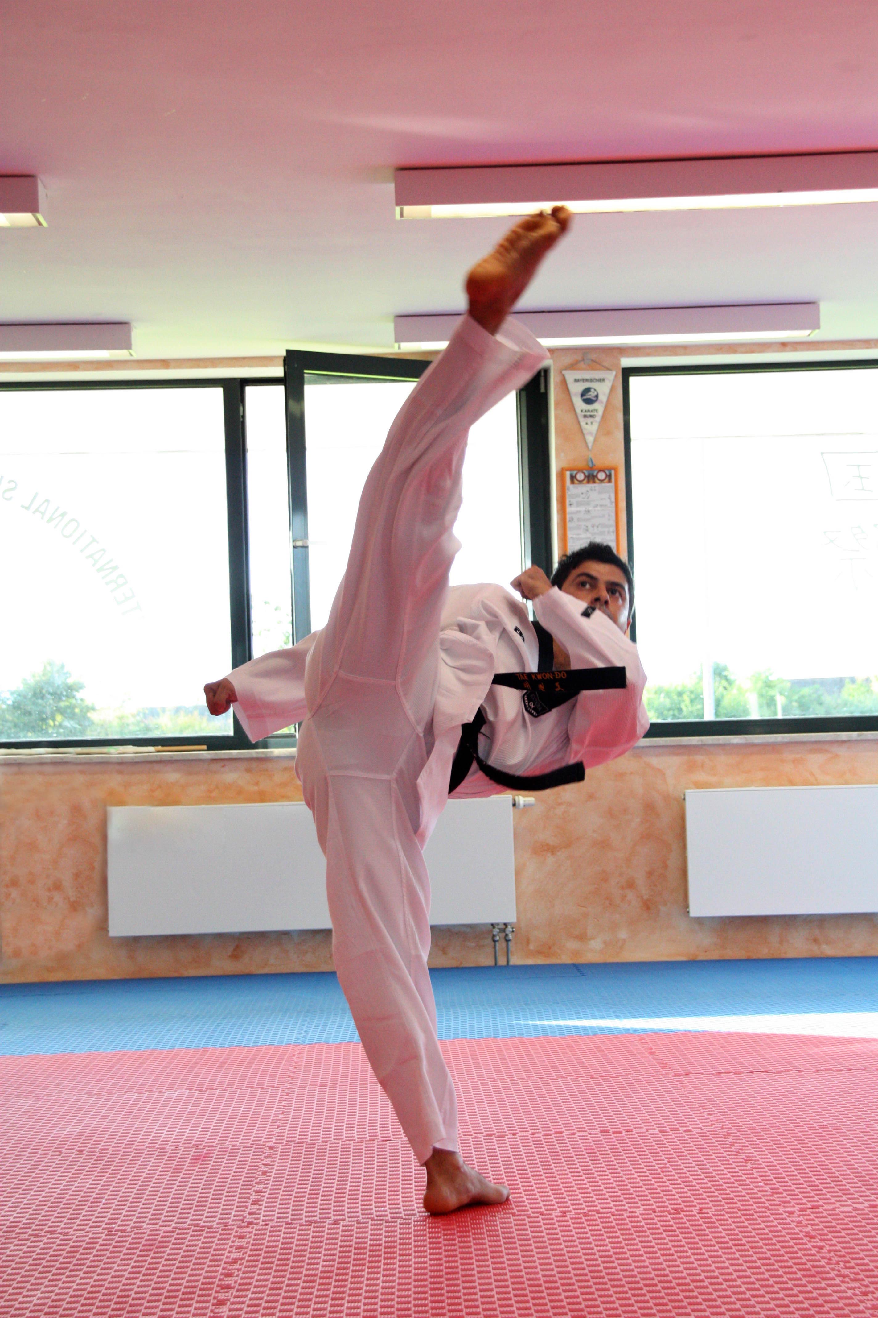 TaekwondoMeister02